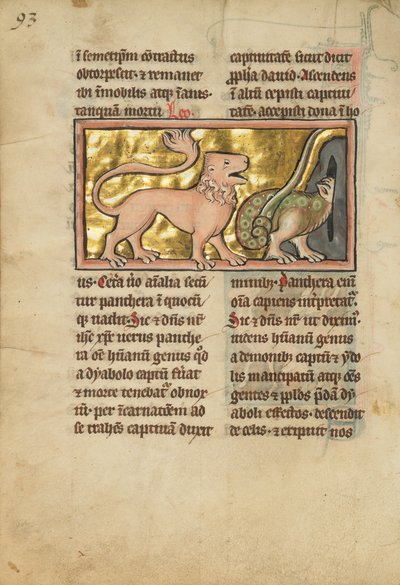 Un leone e un drago alato da Unbekannt Unbekannt